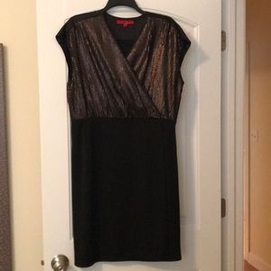Narciso Rodriguez Black Bronze Dress